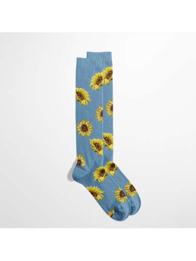 FLOWER: SUNFLOWERS LUNGA