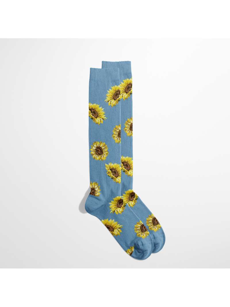 FLOWER: SUNFLOWERS LUNGA