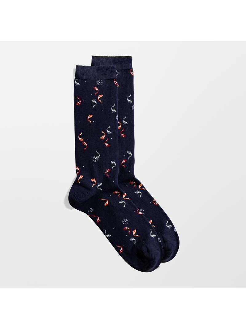 CARPA KOI CALZA AMERICANA